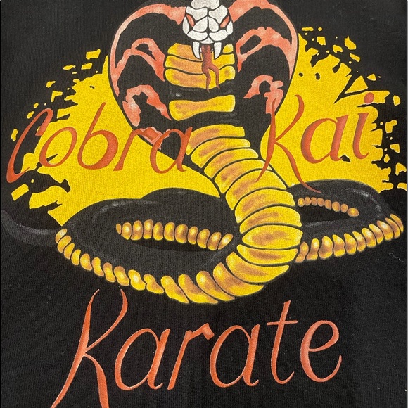 The Hundreds x Karate Kid Hoodie // Deadstock // Size S - Picture 5 of 10